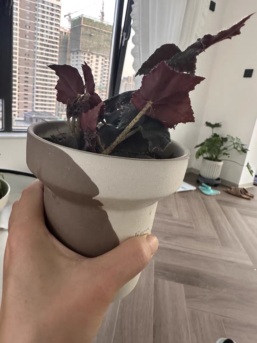 Stampo in silicone per vasi da - Candle Making Pot recensione e prezzo